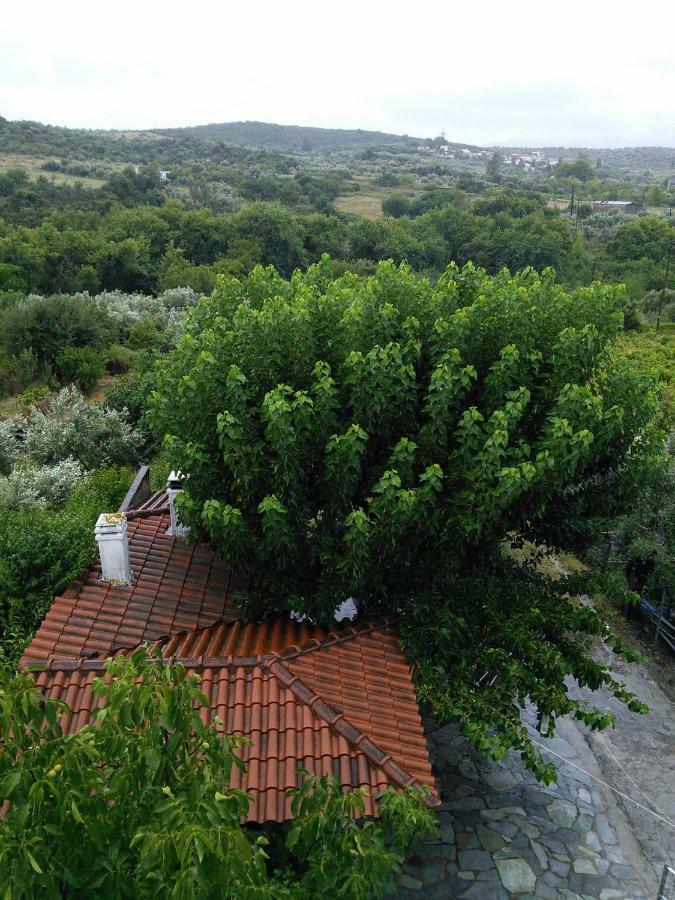 Eleni'S Village Relaxation Home Edipsos Exterior photo
